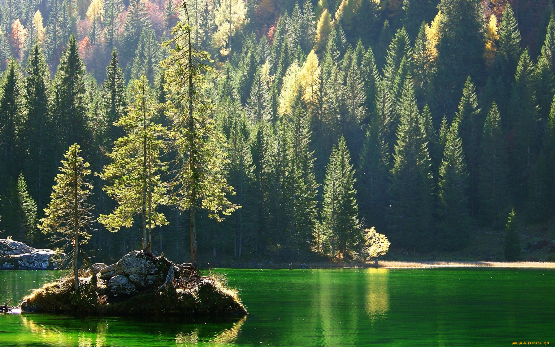Хвойное озеро. Тайга (хвойные леса) реки Сыктывкар. Финляндия скалы озеро лес сосны. Хвойный лес Финляндия. Природа лес хвойный река.